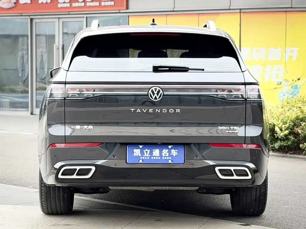 Volkswagen Tavendor — миниатюра 5