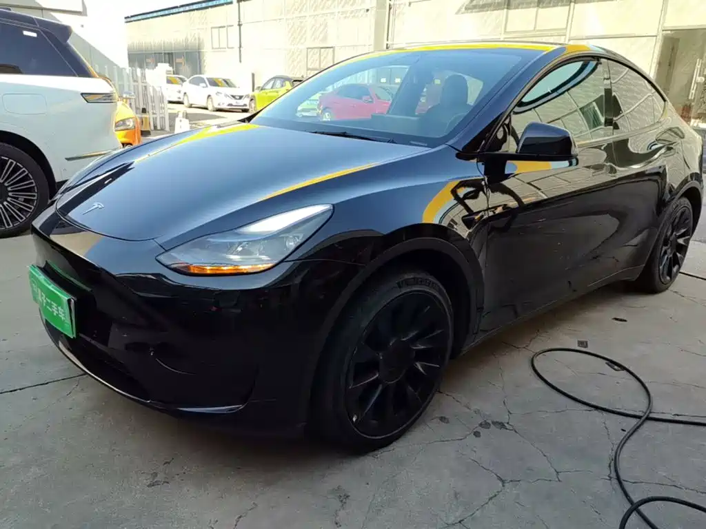 Tesla Model Y — миниатюра 2