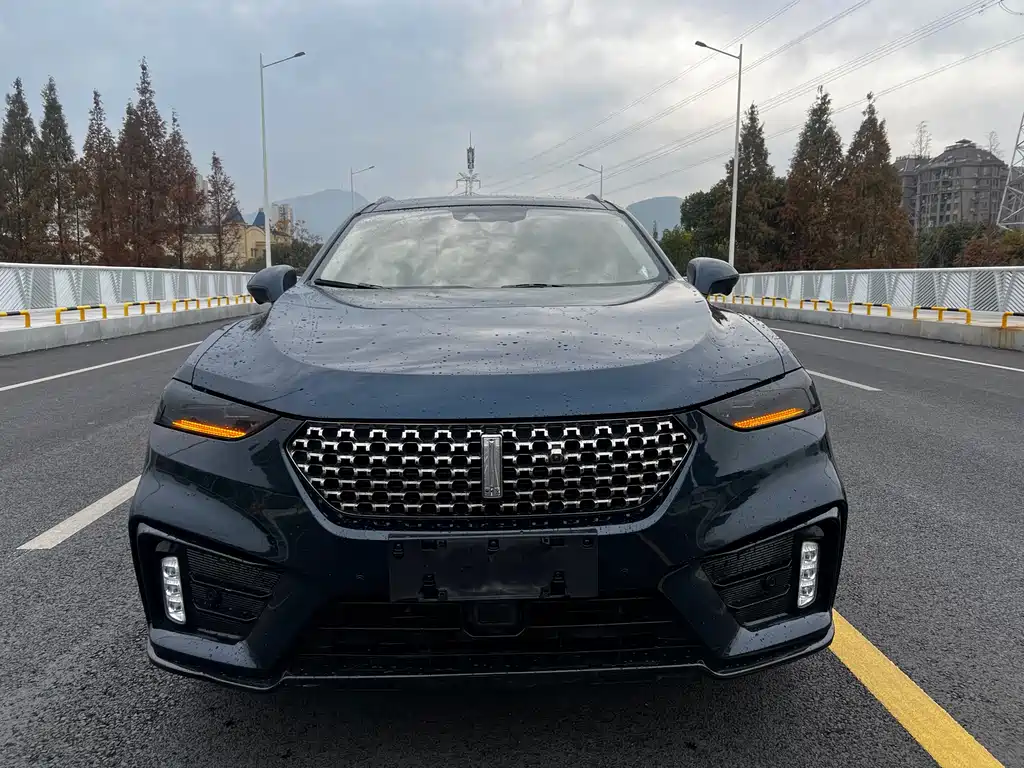 WEI PAI WEI BRAND VV7 NEW ENERGY