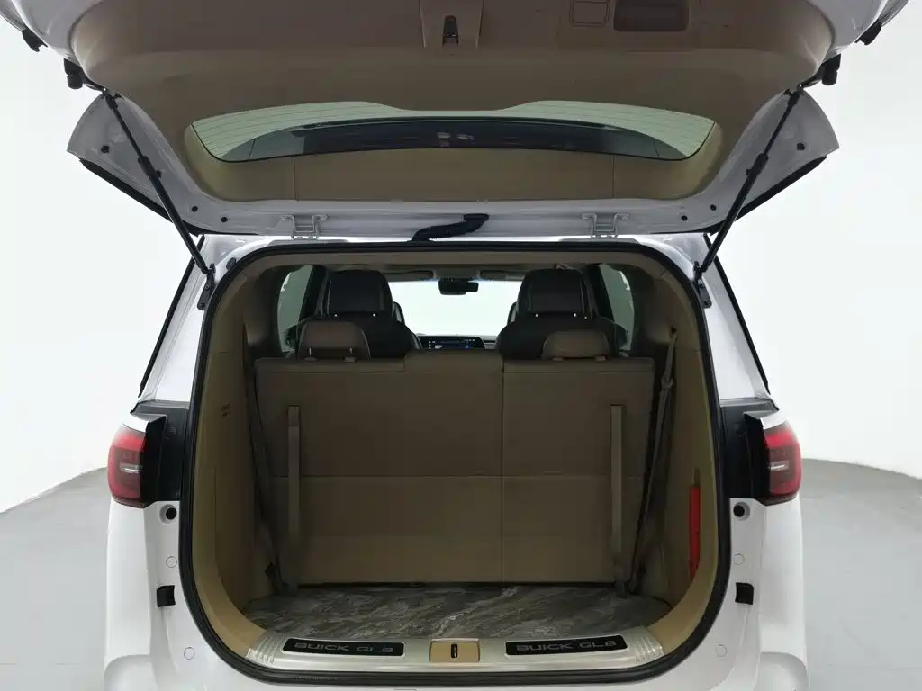 Buick GL8 — миниатюра 16