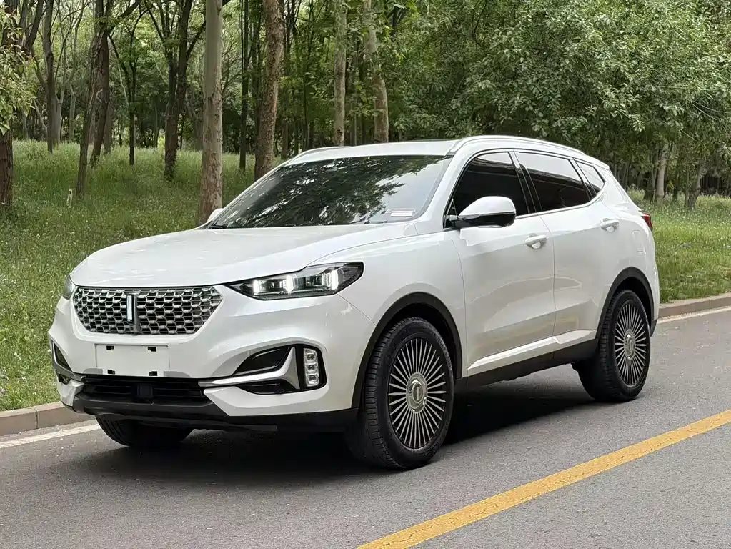 Wey Wey VV6 2020