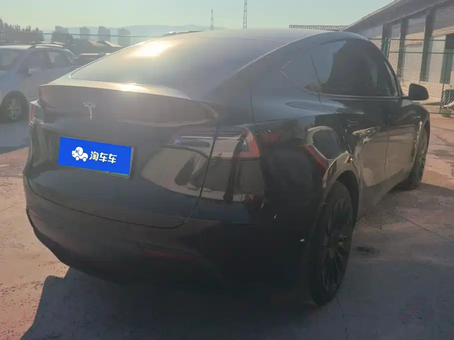 Tesla Model Y — миниатюра 3