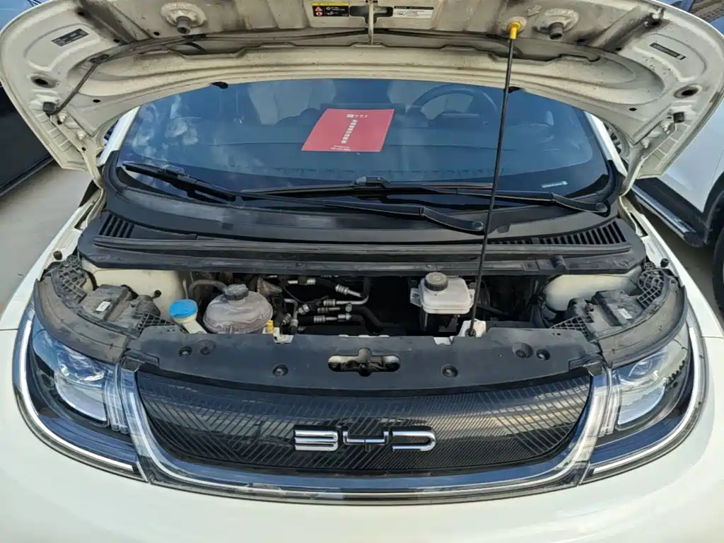 BYD Dolphin — миниатюра 20