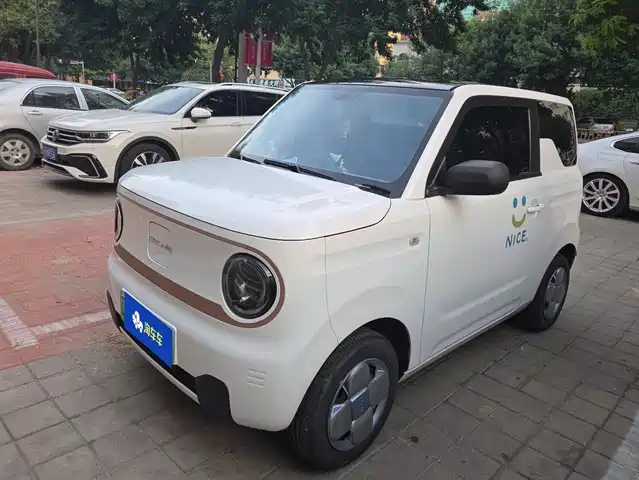 2023 Geely LC (Panda)