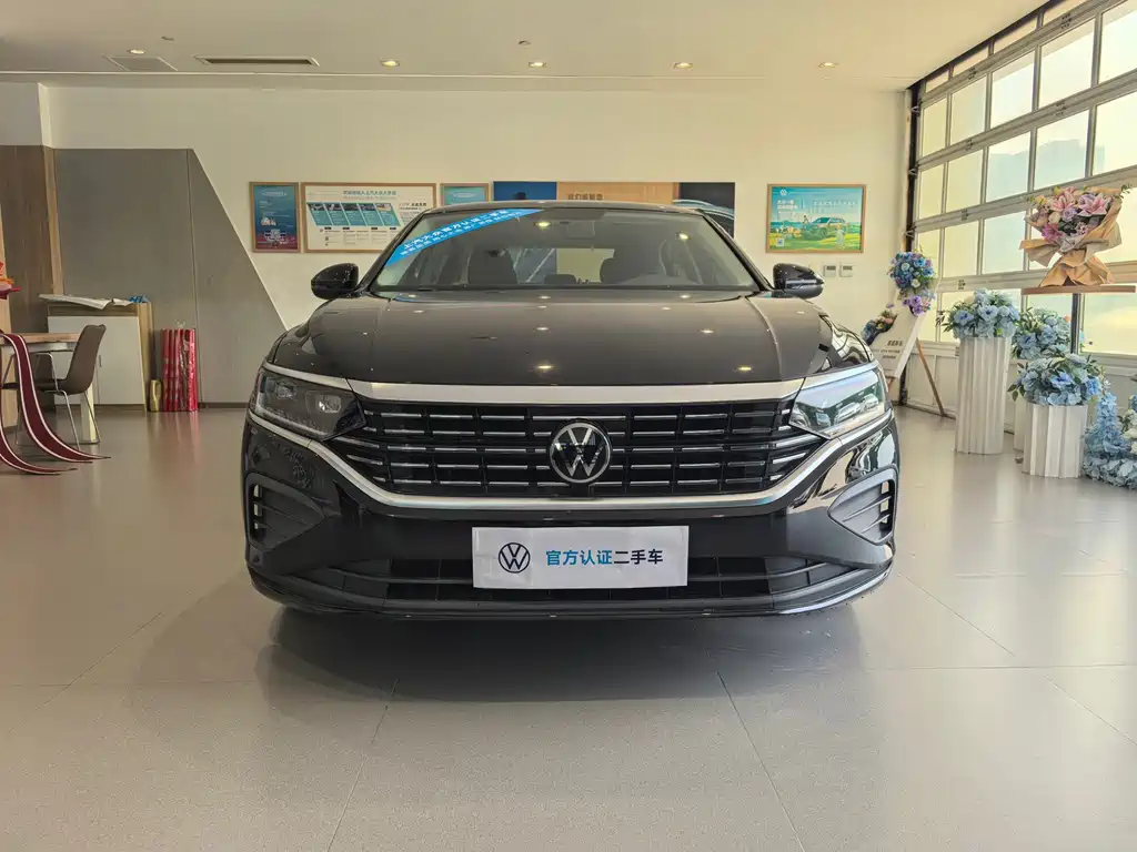 Volkswagen Passat — миниатюра 2