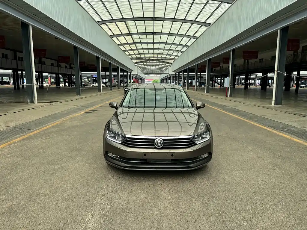 Volkswagen Magotan 2018 330TSI DSG Luxury
