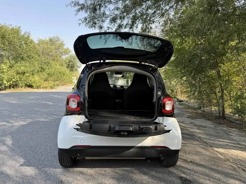 smart Smart Fortwo — миниатюра 5