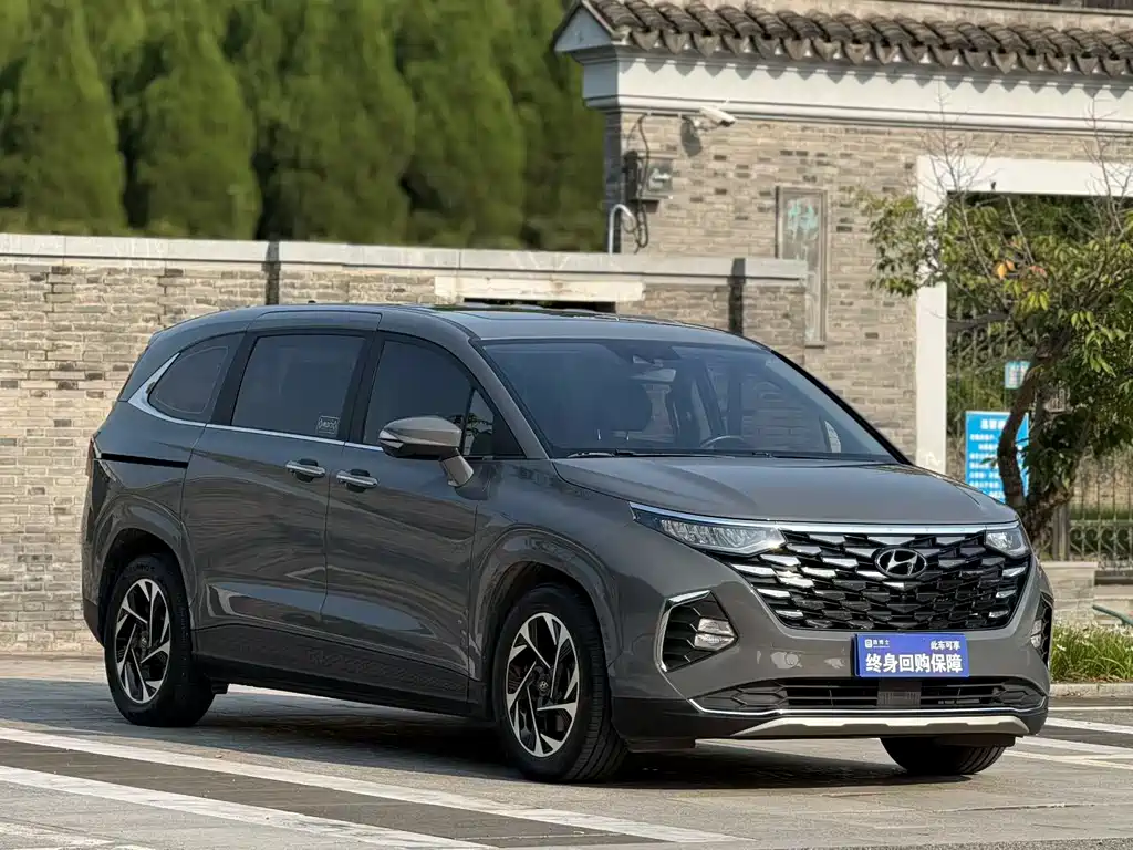 Hyundai Custo — миниатюра 2
