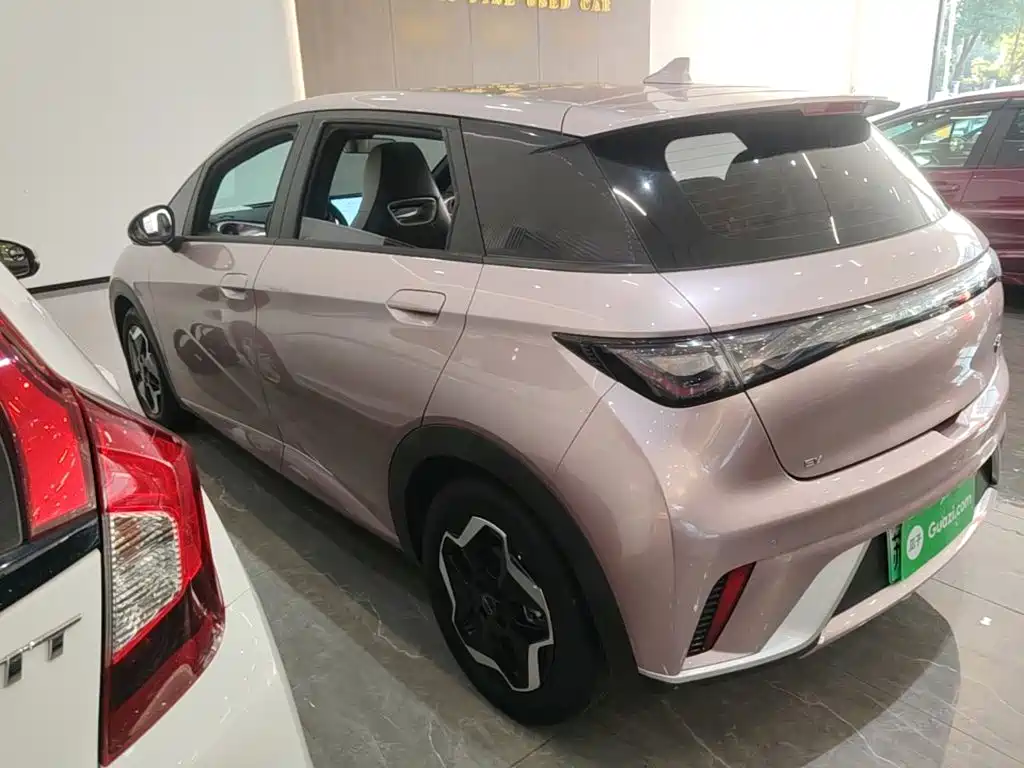 BYD Dolphin — миниатюра 5