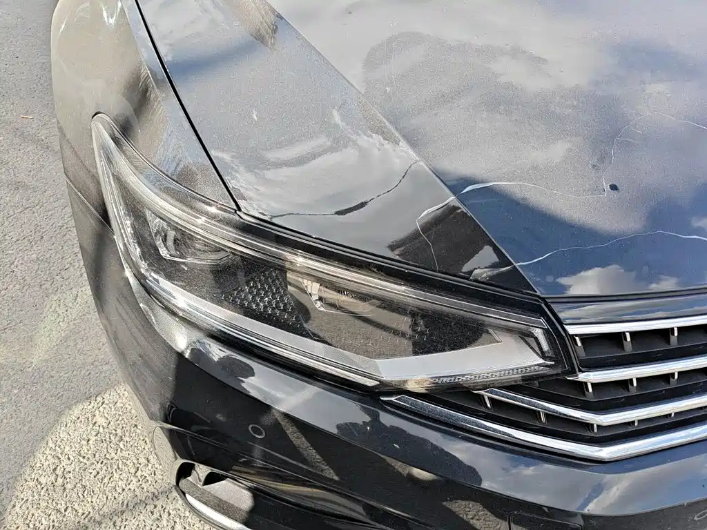 Volkswagen Magotan — миниатюра 7