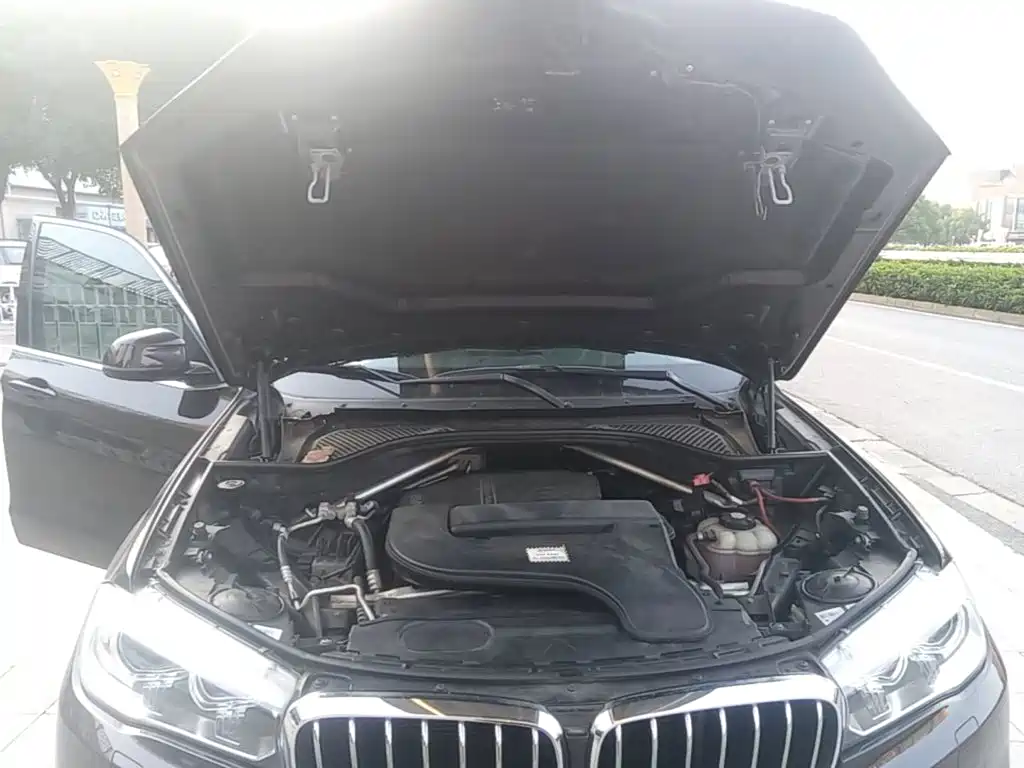 BMW X5 (Import) — миниатюра 20