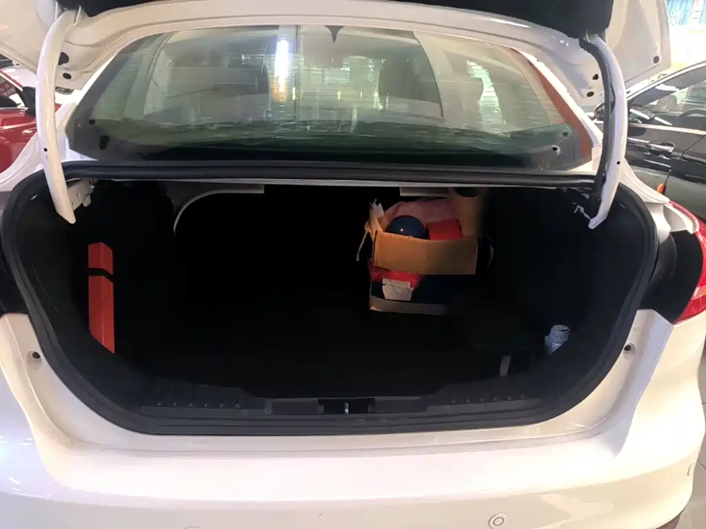 Ford Focus — миниатюра 19