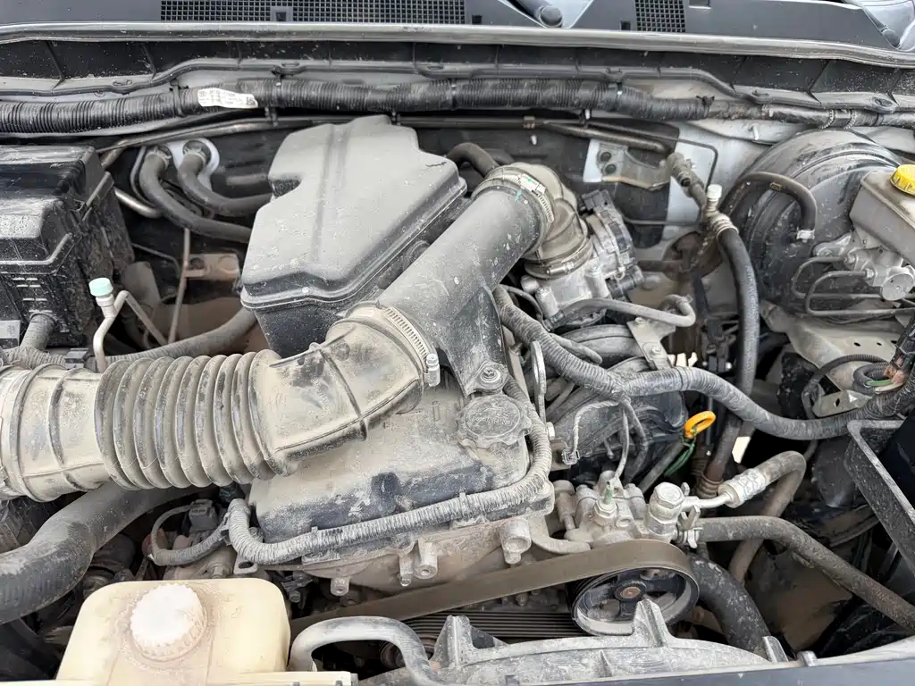 Dongfeng Rich — миниатюра 13