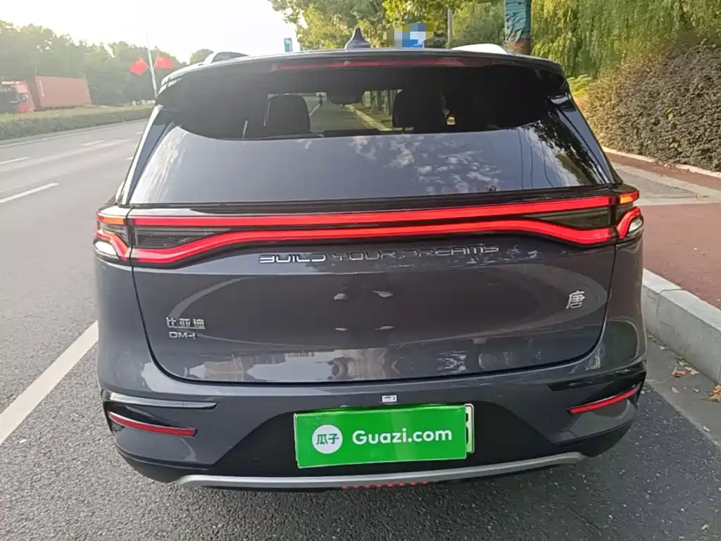 BYD Tang New Energy — миниатюра 6