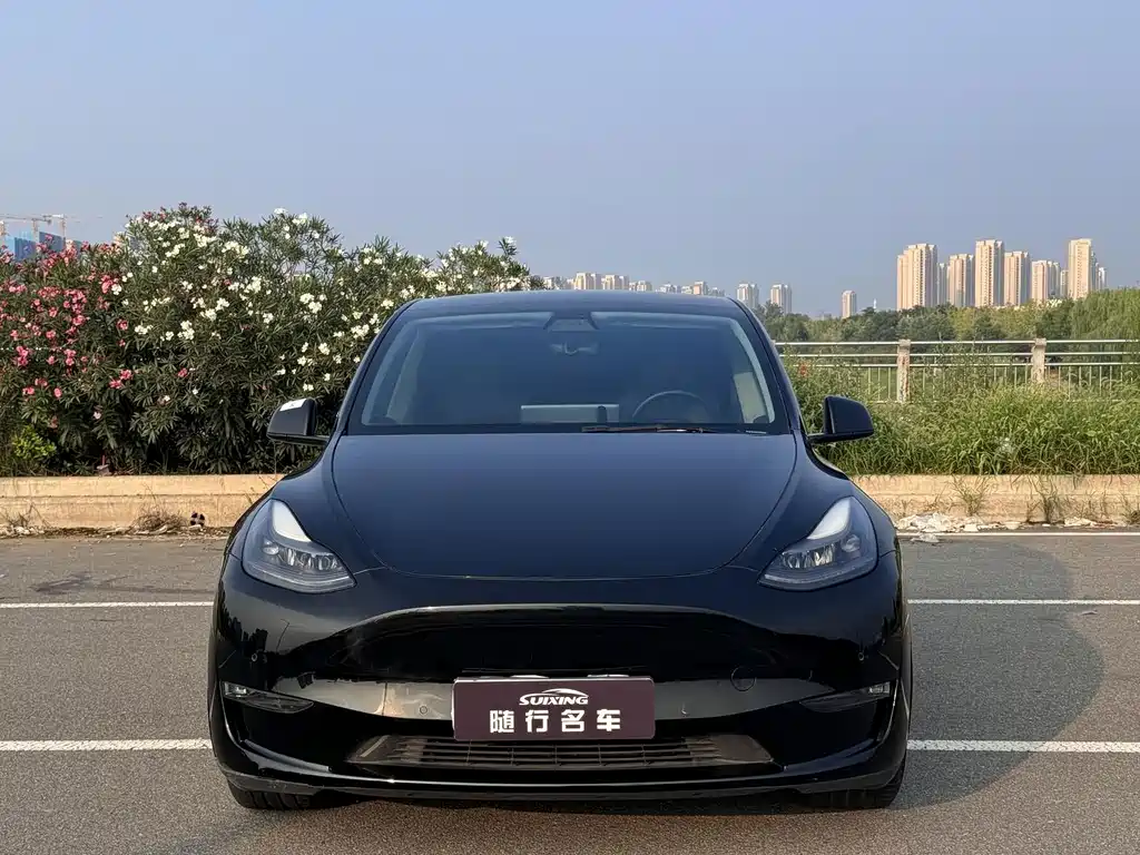 Tesla Model Y — миниатюра 2
