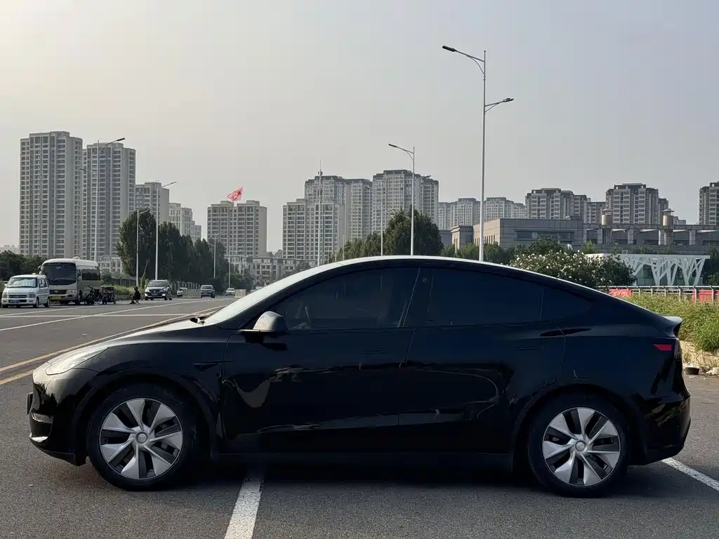 Tesla Model Y — миниатюра 4