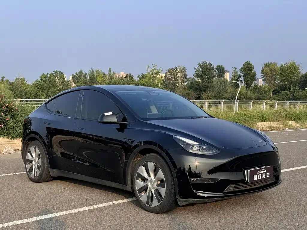 Tesla Model Y — миниатюра 3