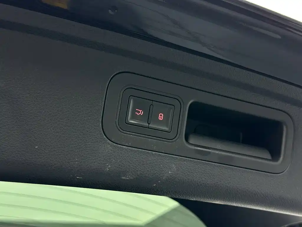 BYD Tang New Energy — миниатюра 23