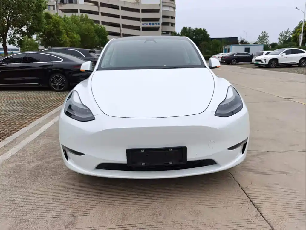 Tesla Model Y — миниатюра 2
