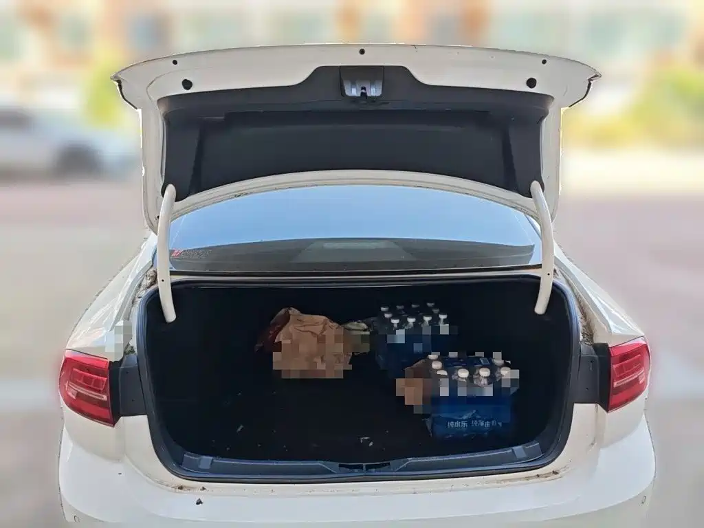 Volkswagen Lamando — миниатюра 20