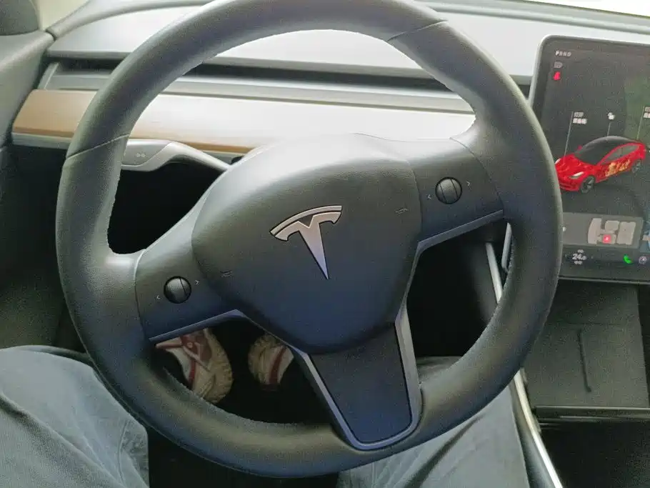 Tesla Model 3 — миниатюра 15