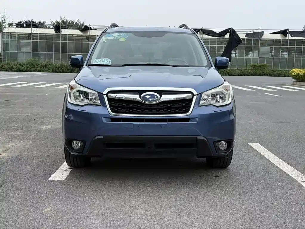 Subaru Forester — миниатюра 2