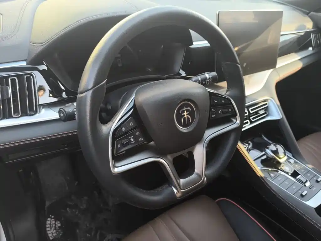 BYD PLUS — миниатюра 6