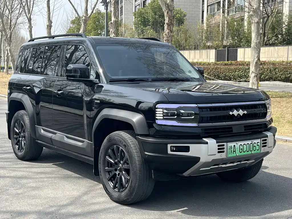 FANG CHENG BAO LEOPARD 5