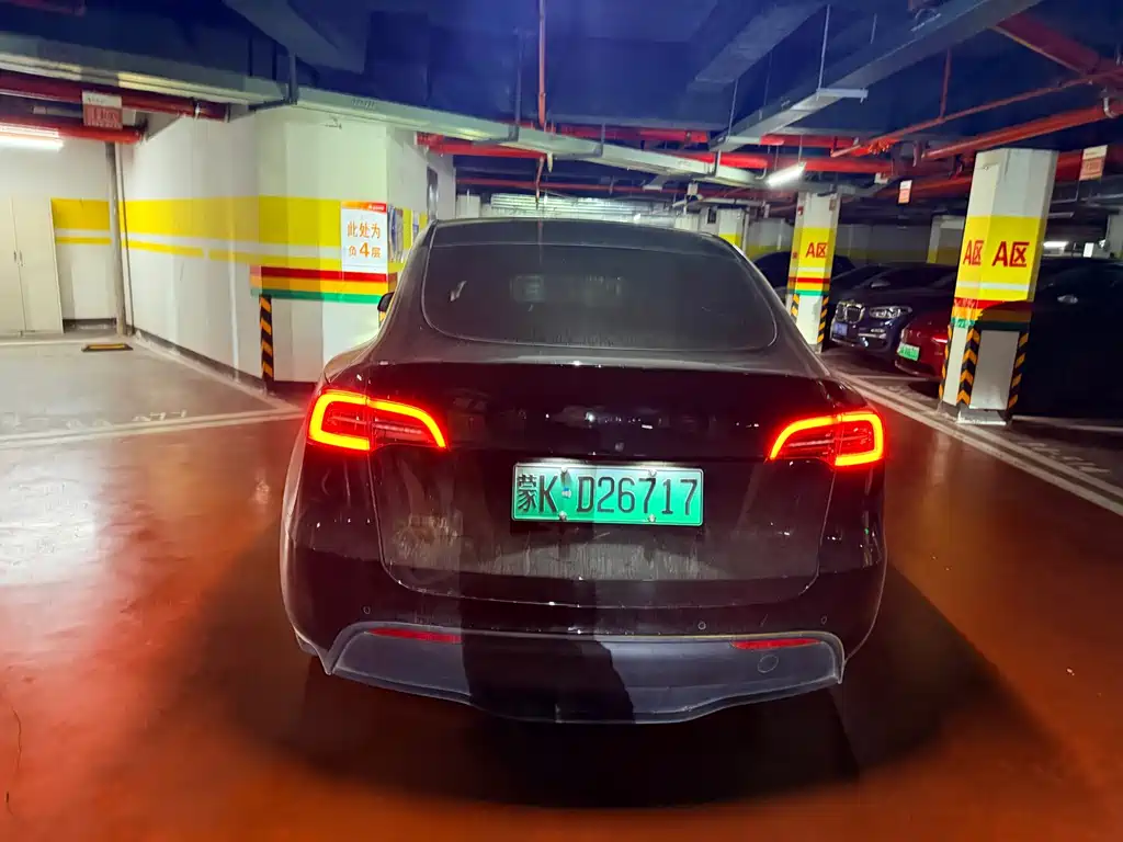 Tesla Model Y — миниатюра 8
