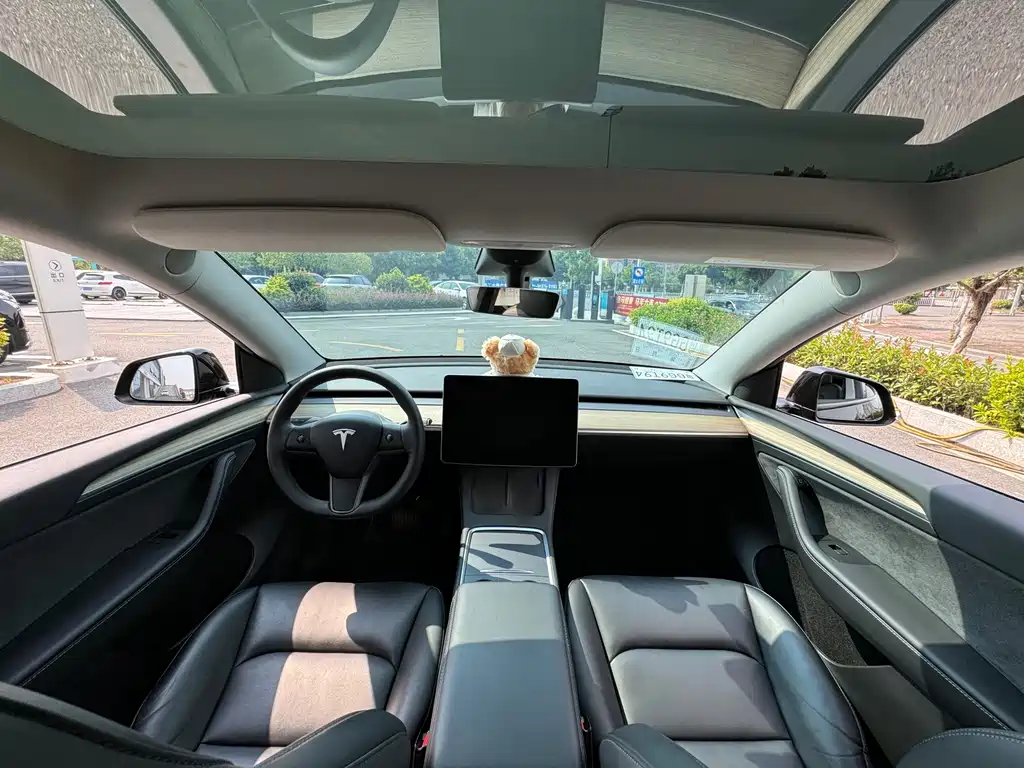 Tesla Model Y — миниатюра 9