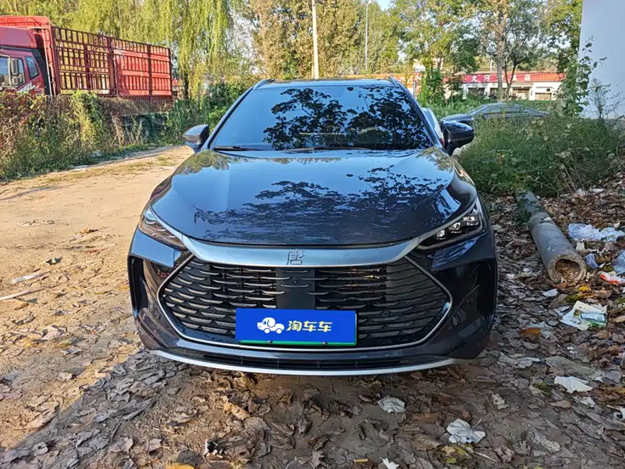 BYD Tang New Energy — миниатюра 2