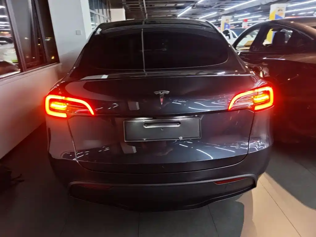 Tesla Model Y — миниатюра 6