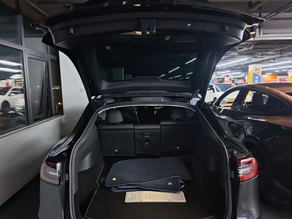 Tesla Model Y — миниатюра 19