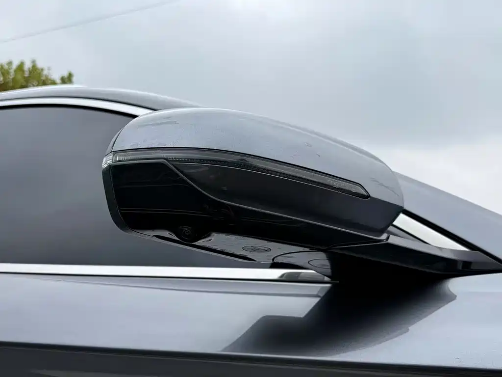 BYD PLUS New Energy — миниатюра 21