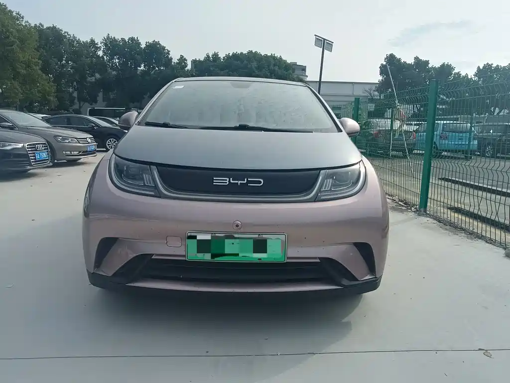 BYD Dolphin — миниатюра 2