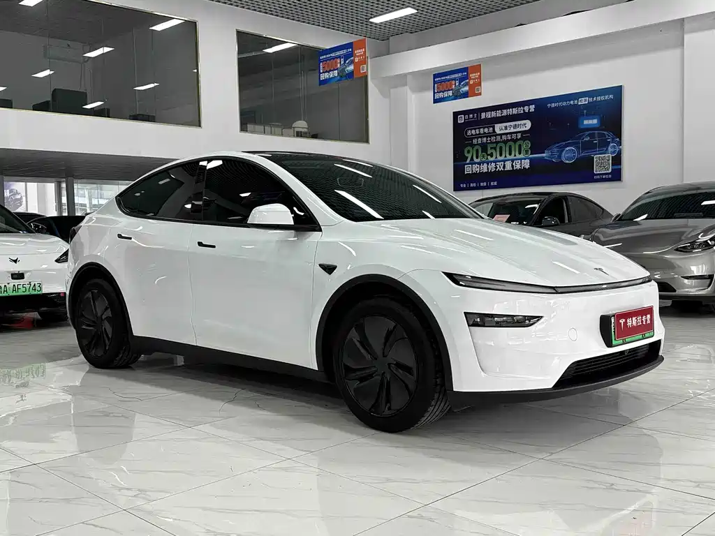 Tesla Model Y — миниатюра 3