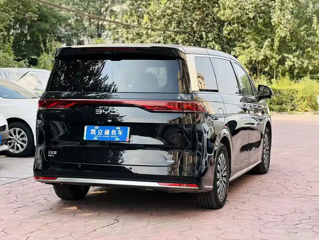 BYD Xia - фото 4