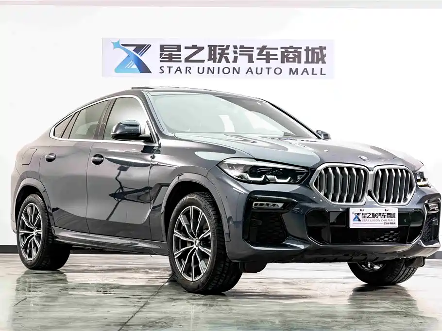 BMW X6 2021 xDrive30i M Sport