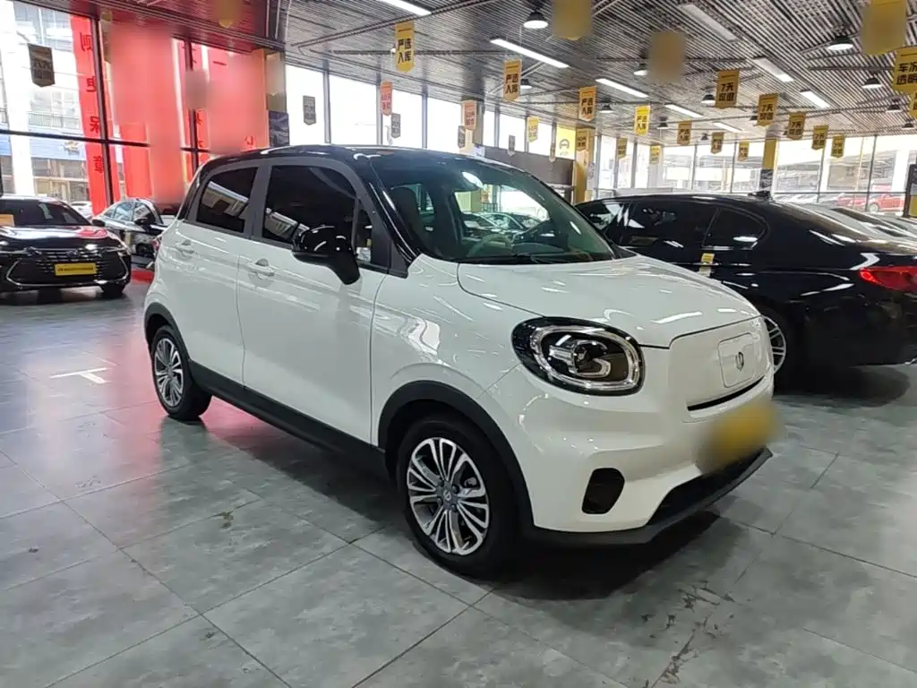 Leapmotor T03 2024 310