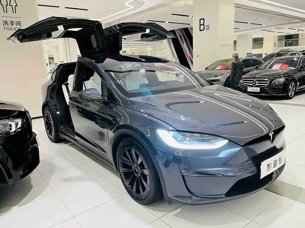 Tesla Model X — миниатюра 3