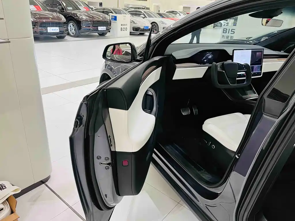 Tesla Model X — миниатюра 6