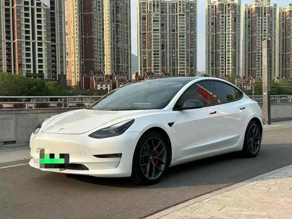 Tesla Model 3 2022