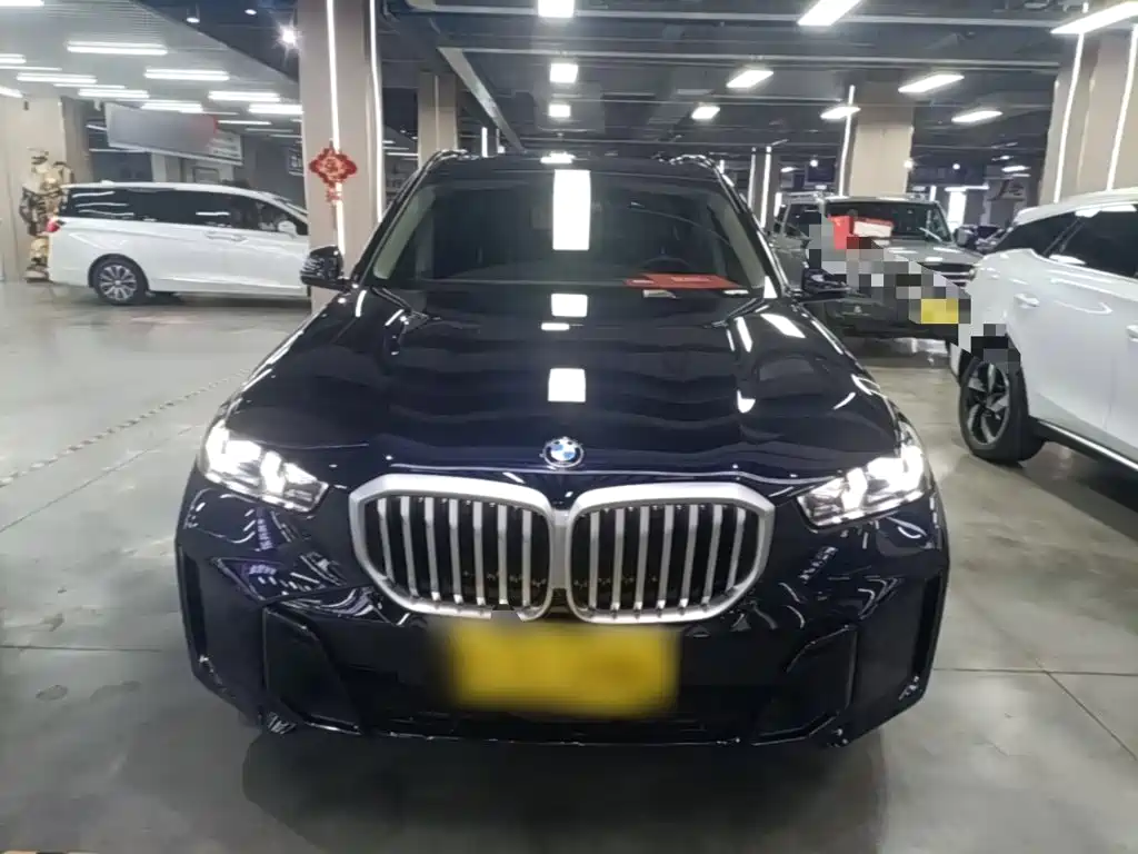 BMW X5 — миниатюра 3
