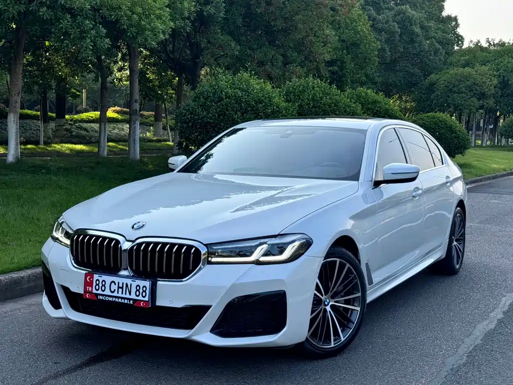 Купить BMW 5 Series