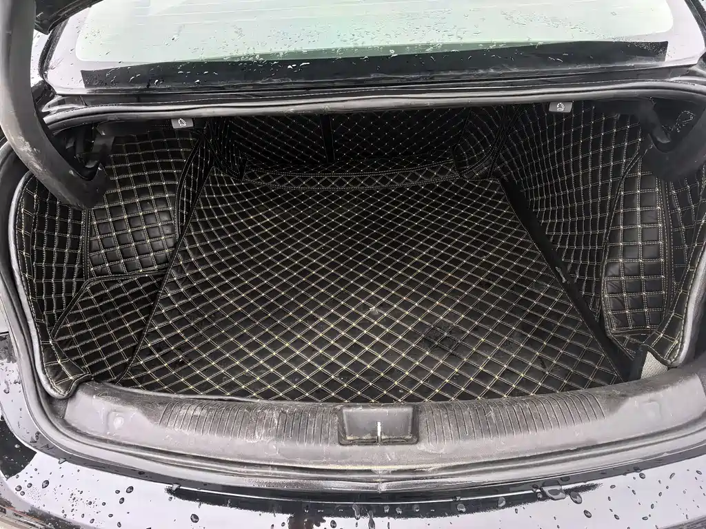 Buick Regal — миниатюра 15