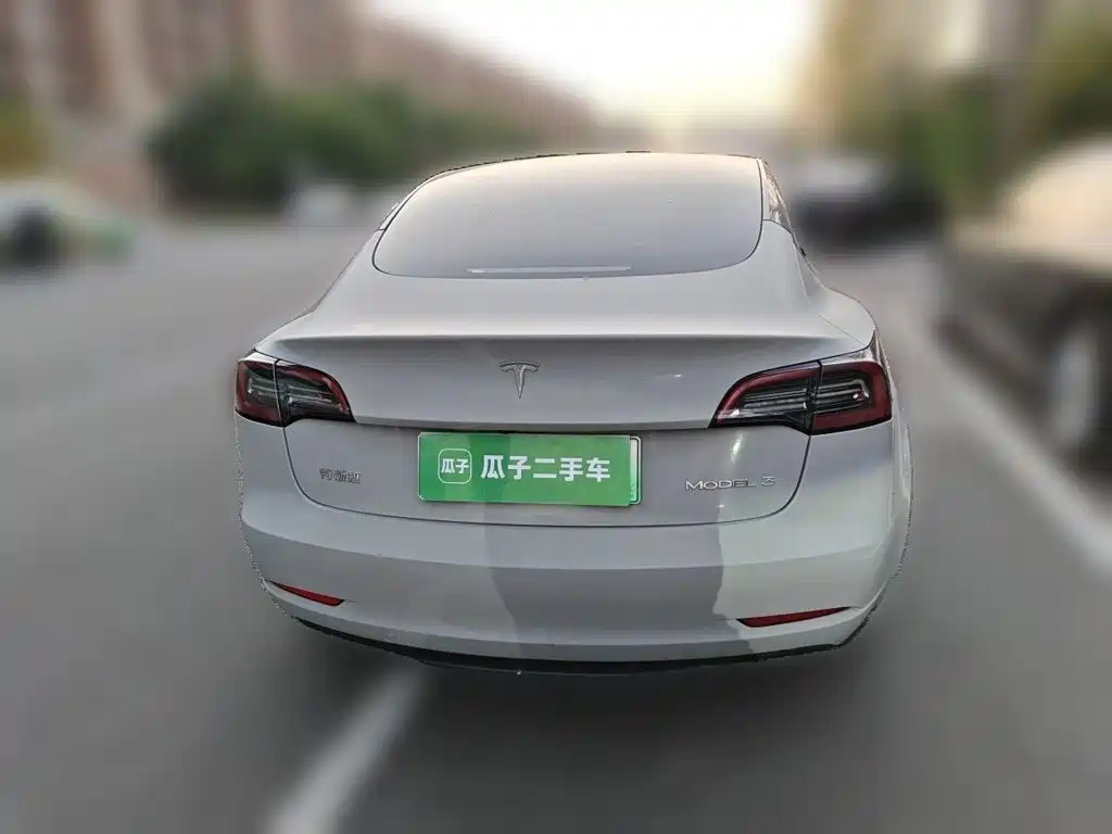 Tesla Model 3 — миниатюра 3