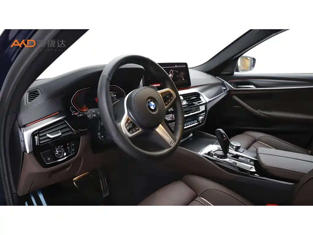 BMW 5 Series (Import) — миниатюра 6