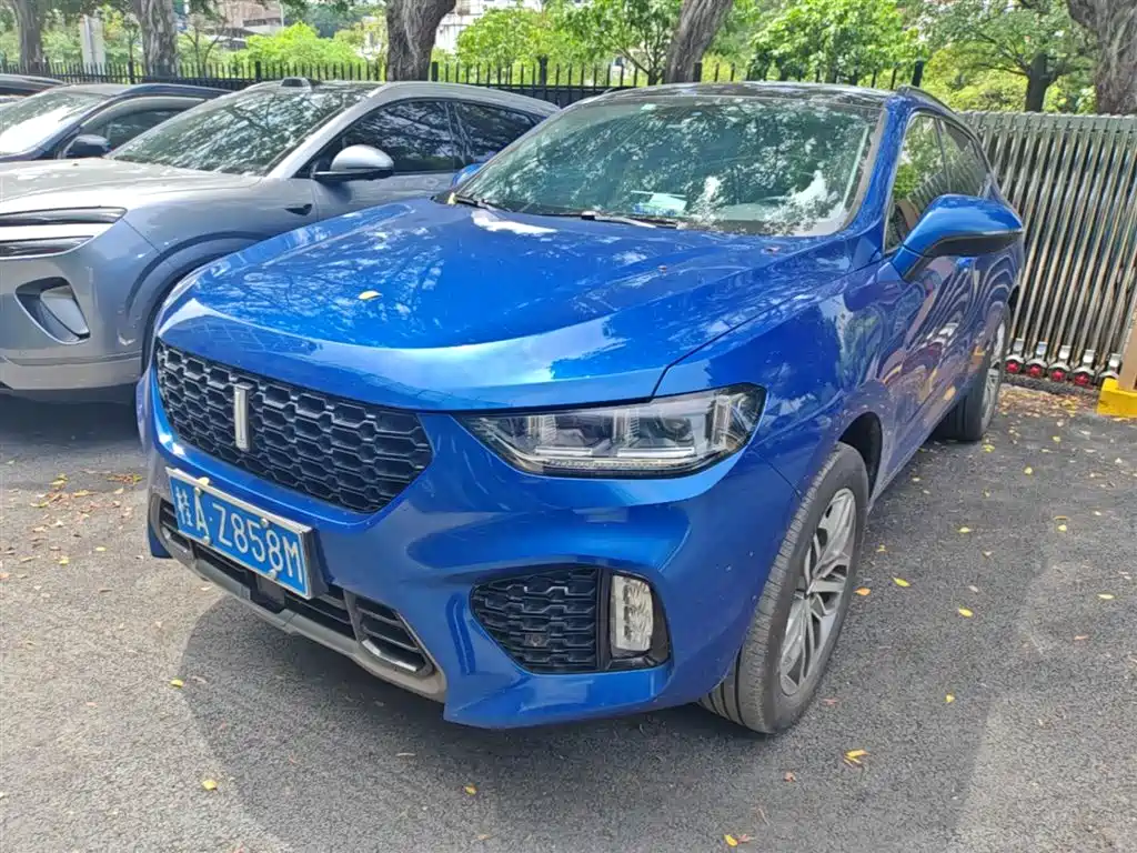 Купить Wey Wey VV5
