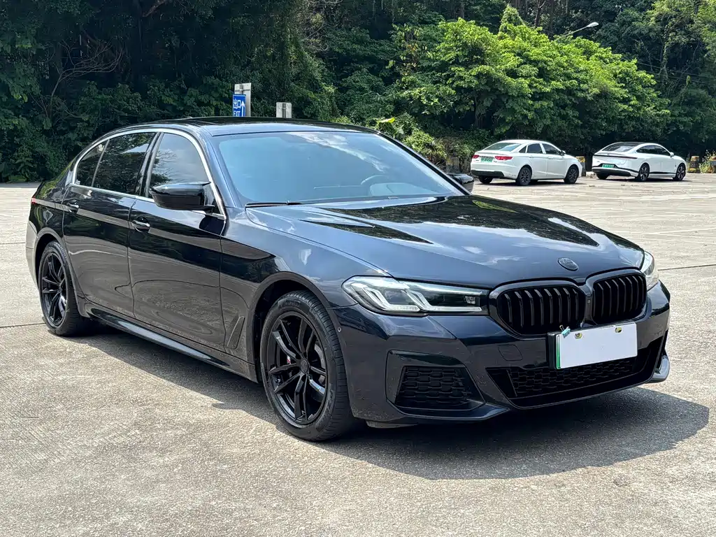 BMW 5 Series New Energy — миниатюра 3