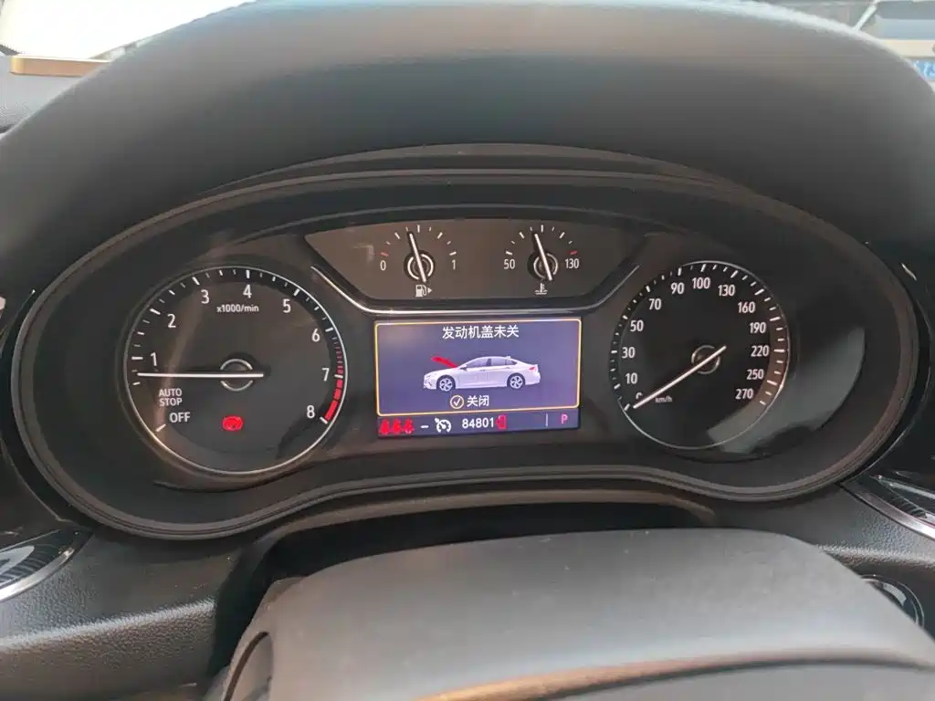 Buick Regal — миниатюра 12